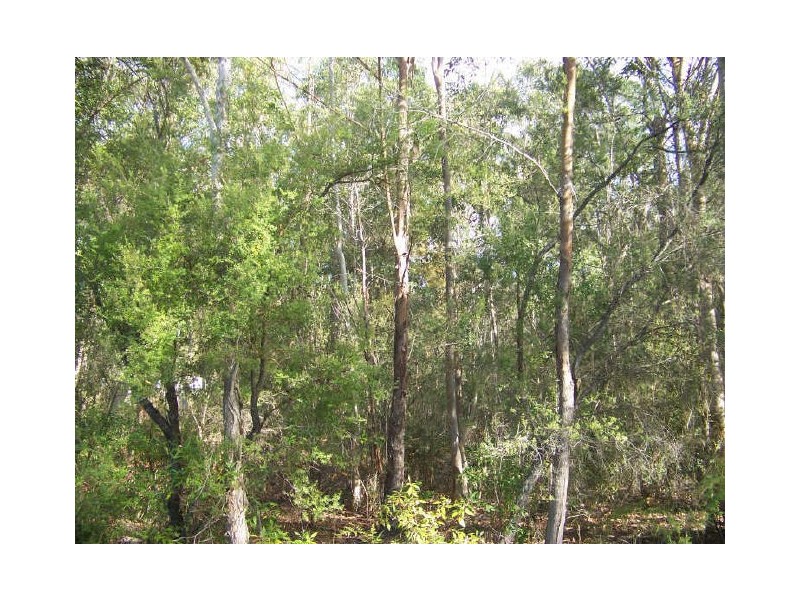 71 Cougal, Russell Island QLD 4184