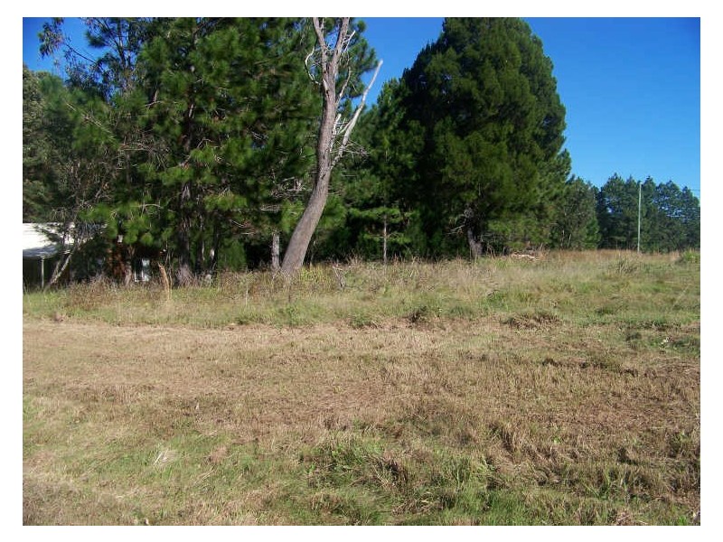 11 Gunsynd St, Russell Island QLD 4184