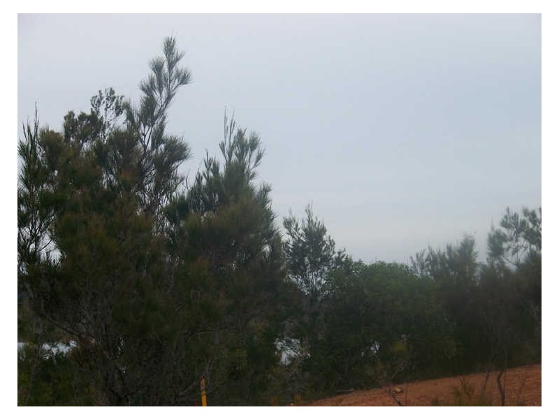 13 Moreton Outlook, Russell Island QLD 4184