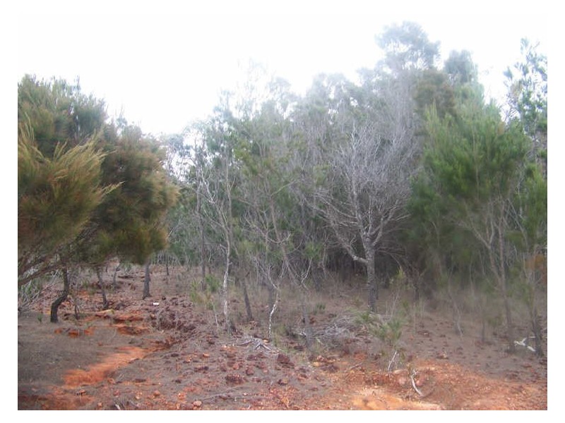 13 Moreton Outlook, Russell Island QLD 4184