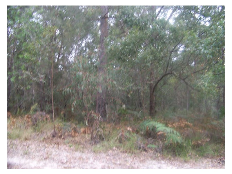 16 Kennedy Street, Russell Island QLD 4184