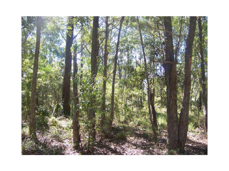 lot 96 Ilumba, Russell Island QLD 4184