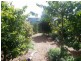 55 Laurel St, Russell Island QLD 4184