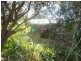 55 Laurel St, Russell Island QLD 4184