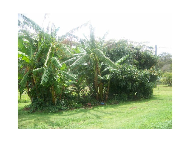 24 Grevillia, Russell Island QLD 4184