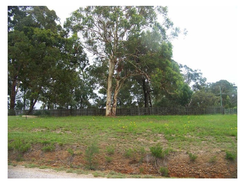 29 Akebia St, Russell Island QLD 4184