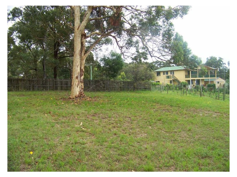 29 Akebia St, Russell Island QLD 4184