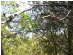 23 Eucalypt, Russell Island QLD 4184
