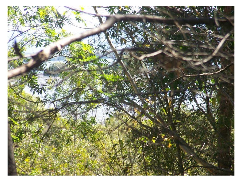 23 Eucalypt, Russell Island QLD 4184