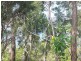 12 Bay Dve, Russell Island QLD 4184