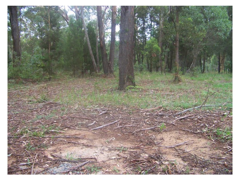 16 Dempsey, Russell Island QLD 4184