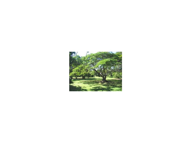 61 Kings Road, Russell Island QLD 4184