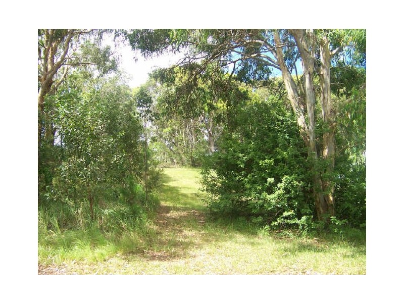 3 Virginia Pde, Russell Island QLD 4184