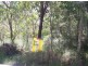 7 Cestrum, Russell Island QLD 4184