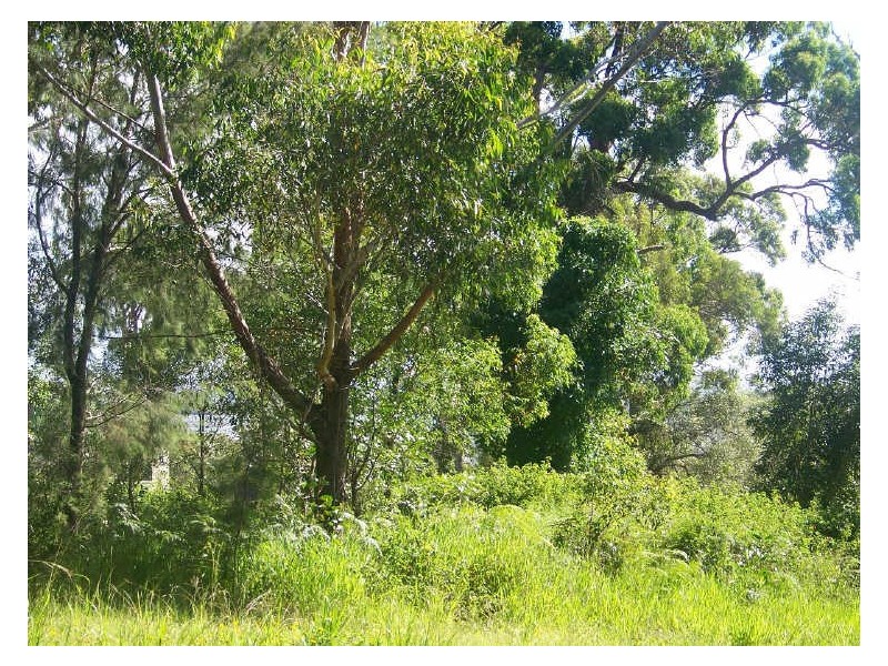 6 Aster, Russell Island QLD 4184