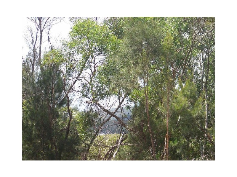 Russell Island QLD 4184