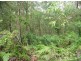 50 Channel, Russell Island QLD 4184