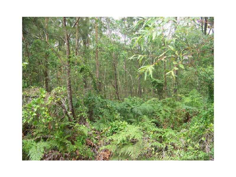 50 Channel, Russell Island QLD 4184