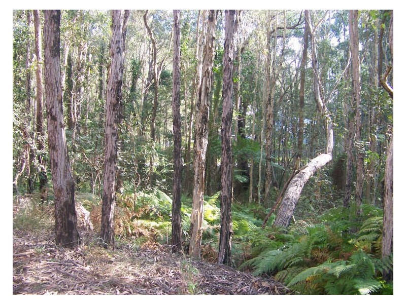 39 Borrows St, Russell Island QLD 4184