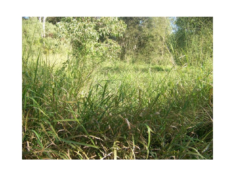 32 Bangalow, Russell Island QLD 4184