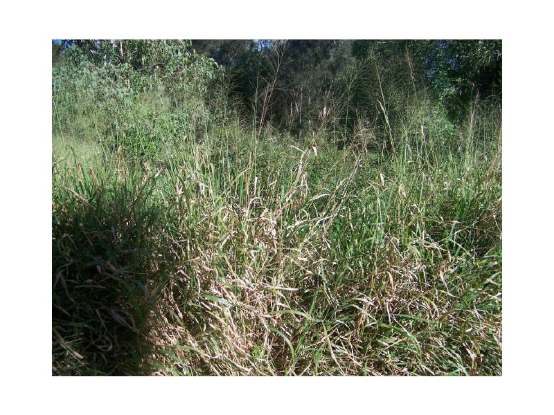 32 Bangalow, Russell Island QLD 4184