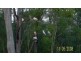 4 Maybrook ave, Russell Island QLD 4184
