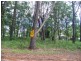 19 Meadstone, Russell Island QLD 4184
