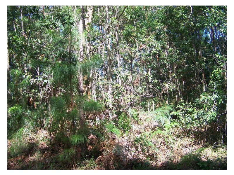 16 Fernbrook, Russell Island QLD 4184