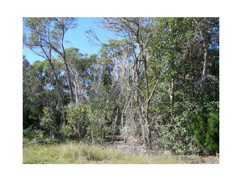 Macleay Island QLD 4184