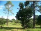 Russell Island QLD 4184