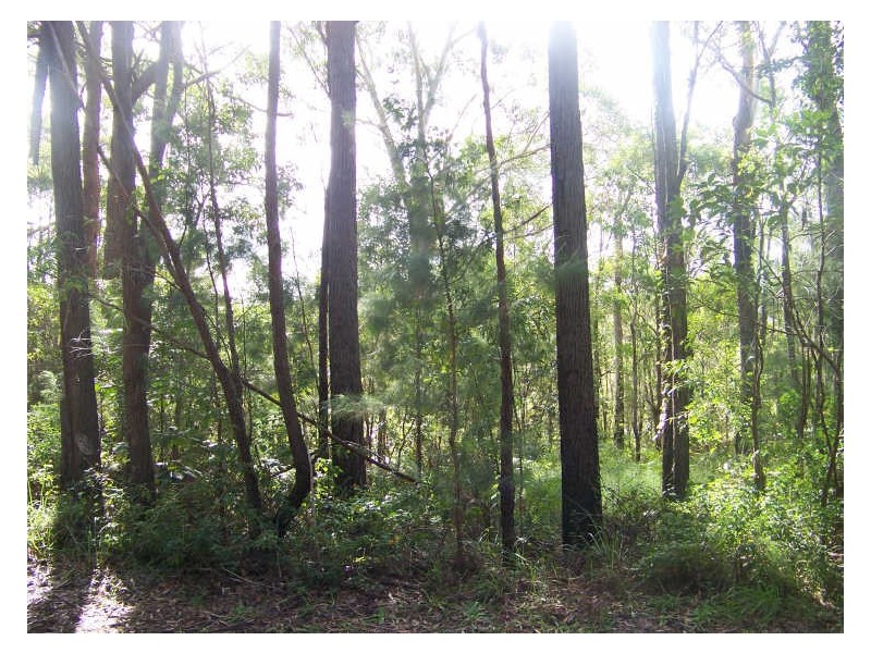 11 Suva, Russell Island QLD 4184