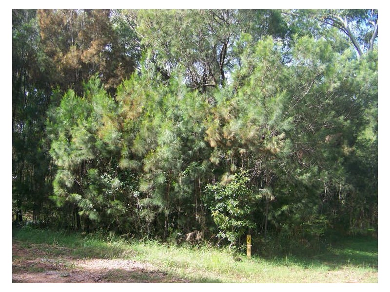 6 Benaud, Russell Island QLD 4184