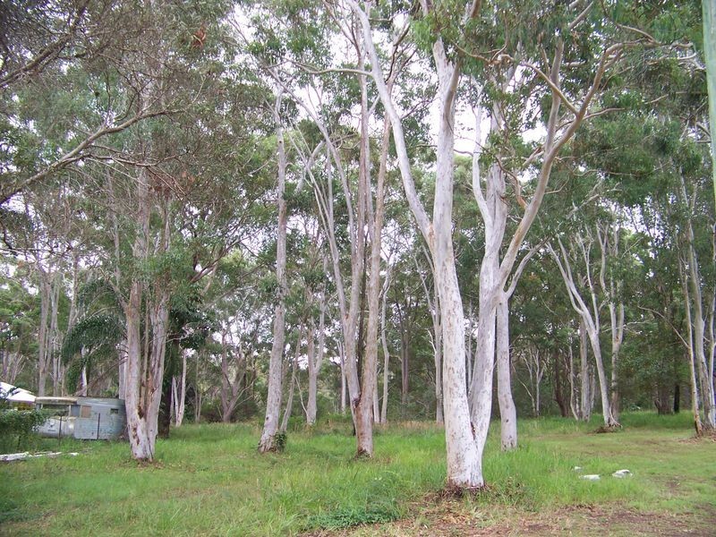 41 Belgrave, Russell Island QLD 4184