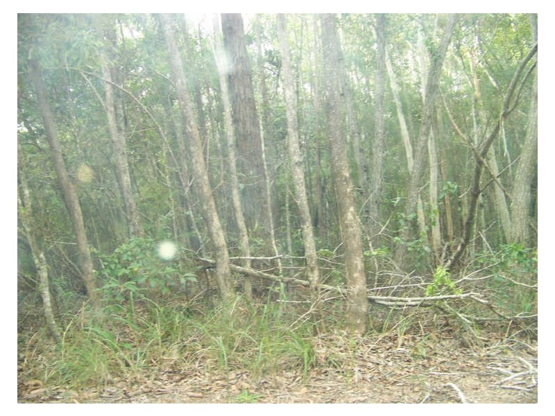 15 Villa-wood Rd, Russell Island QLD 4184