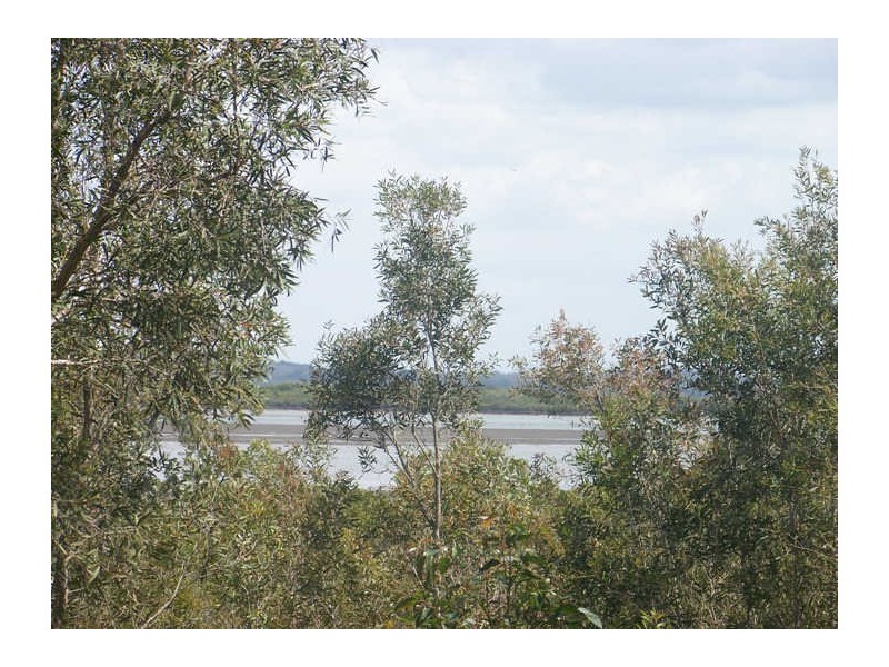 24 Eucalypt Street, Russell Island QLD 4184