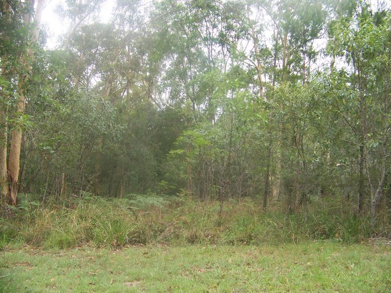 14 Mulbray Cres, Russell Island QLD 4184