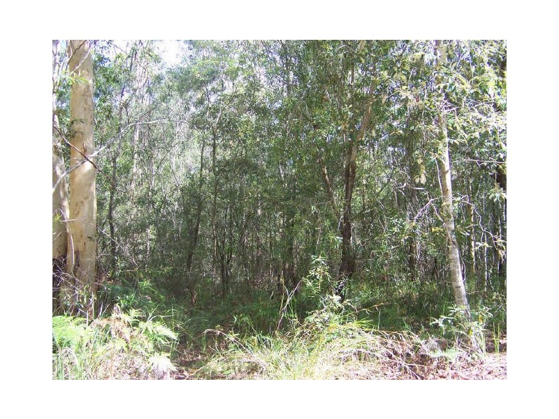 44 Woodlands, Russell Island QLD 4184