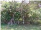 15 Oaklea St, Russell Island QLD 4184