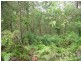 50 Channel, Russell Island QLD 4184