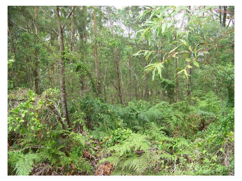 50 Channel, Russell Island QLD 4184