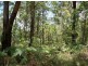 10 Angorra, Russell Island QLD 4184