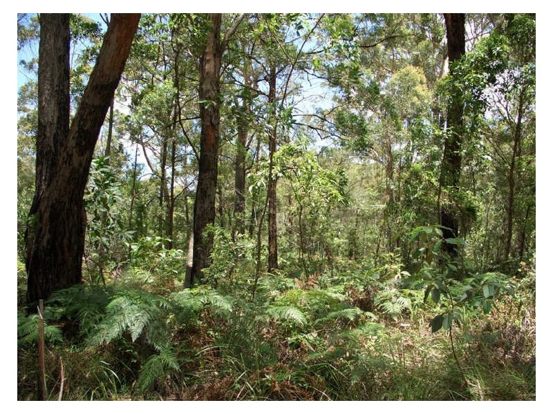 10 Angorra, Russell Island QLD 4184