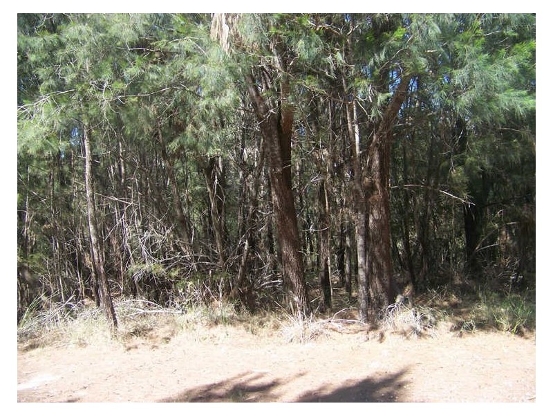 35 Aquamarine Ave, Russell Island QLD 4184