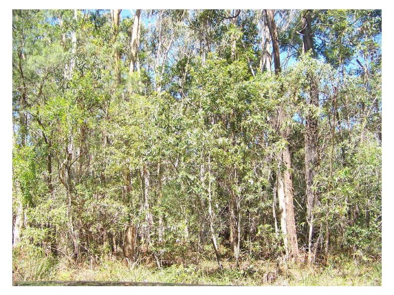 18 Forest Hill Rd, Russell Island QLD 4184