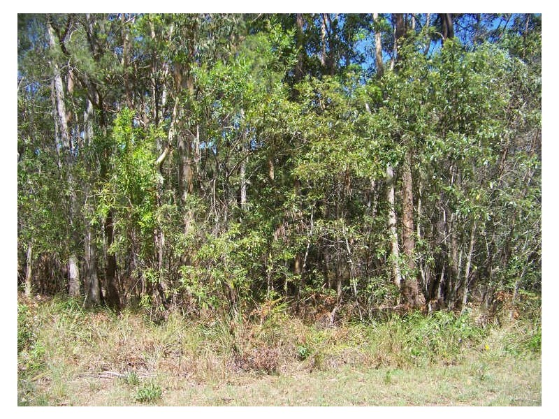 18 Forest Hill Rd, Russell Island QLD 4184