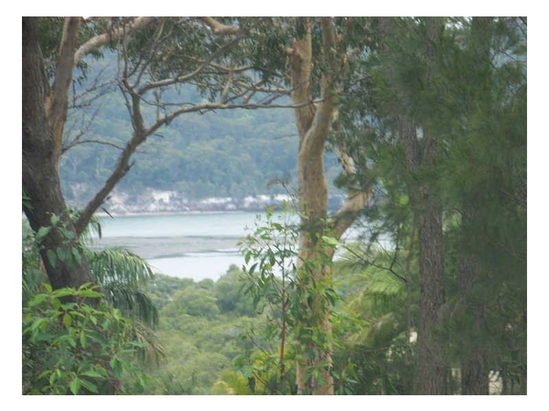 29 Murray Cres, Russell Island QLD 4184