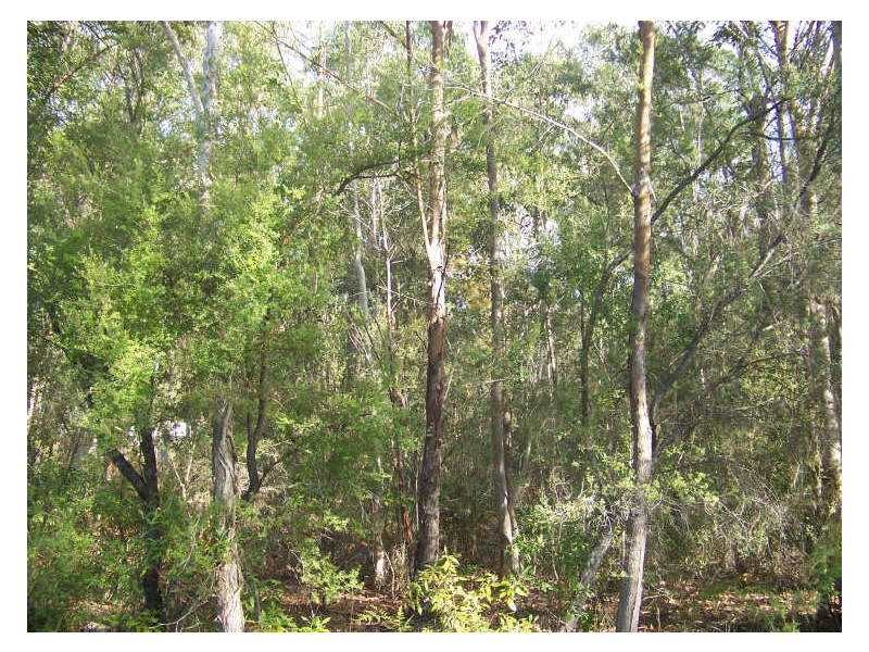 71 Cougal, Russell Island QLD 4184