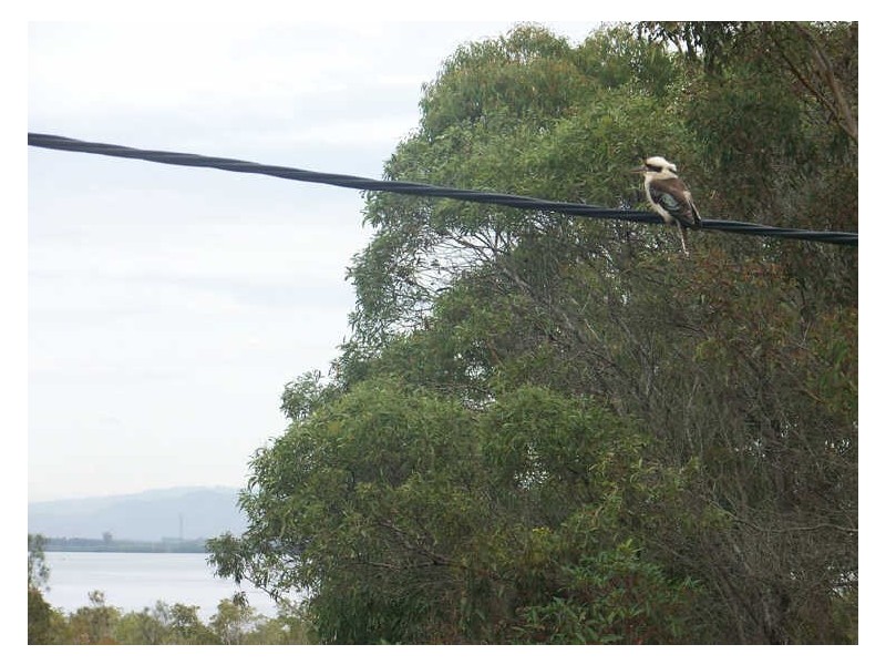 37 Belgrave, Russell Island QLD 4184