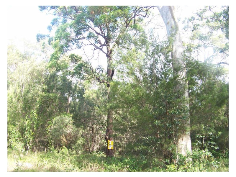 14 Pearl Street, Russell Island QLD 4184