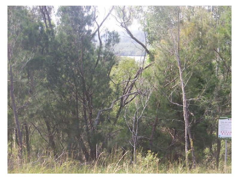 19 Highland Ridge Rd, Russell Island QLD 4184